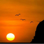 পবিত্র শবেবরাত ২৫ ফেব্রুয়ারি