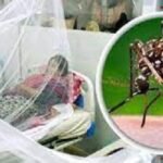 মৃত্যুশূন্য দিনে ডেঙ্গু আক্রান্ত হয়ে হাসপাতালে ২২