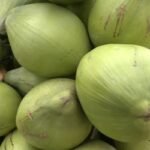 গরমের সঙ্গে পাল্লা দিয়ে রেকর্ড গড়েছে ডাবের দাম