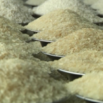 আরও ৫০ প্রতিষ্ঠানকে চাল আমদানির অনুমতি দিলো সরকার