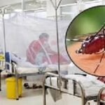ডেঙ্গু আক্রান্ত হয়ে হাসপাতালে আরো ৩৭ রোগী