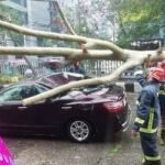 রাজধানীতে ৭১ মিলিমিটার বৃষ্টি, ব্যাপক ভোগান্তি নগরবাসীর