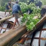 বরিশালে পৌনে ২ লাখ কৃষক পরিবার ক্ষতিগ্রস্ত