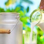 কাঁচা দুধ খেলে কী হয় শরীরে?