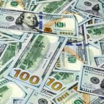 ২৪ দিনে এলো ১৭৯ কোটি ডলার রেমিট্যান্স