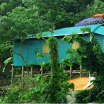 পাহাড়ে স্বস্তির বৃষ্টিতে বিষাদ: বজ্রপাতে প্রাণ গেল ৩ জনের