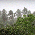 দুপুরের মধ্যে যেসব অঞ্চলে ঝড়ের আশঙ্কা