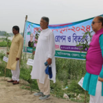 মানিকগঞ্জে এক সারিতেই হাজার গাছ রোপণ