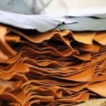 রপ্তানি আয় বাড়লেও কাঁচা চামড়ার মূল্যে ধস