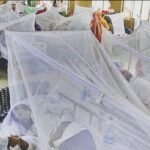 ২৪ ঘণ্টায় ডেঙ্গুতে একজনের মৃত্যু