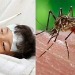 ডেঙ্গু থেকে বাঁচবেন কীভাবে?