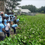 আখাউড়া জলাবদ্ধতা নিরসনে খাল পরিস্কারে মেয়র, ভিডিও কলে দেখলেন আইনমন্ত্রী