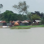 বগুড়ায় বিপৎসীমার ওপরে যমুনার পানি