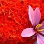 গর্ভাবস্থায় কেশরের উপকারী প্রভাব