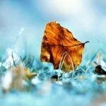 যে তিন আমলে হায়াত বৃদ্ধি পায়