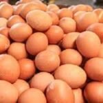 যে ডিম ভারতে ৫ টাকা, একই ডিম বাংলাদেশে ১৩ টাকা