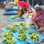 ‘তরিতরকারি বেইচাই তো খেয়েপরে বেঁচে আছি’