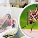 চট্টগ্রামে ডেঙ্গুতে চলতি মাসেই ৭ জনের মৃত্যু