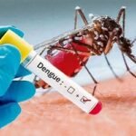 ডেঙ্গুতে আরও ২ জনের মৃত্যু, হাসপাতালে ভর্তি ২৯৯ জন