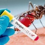 ডেঙ্গুতে আরও ৩ জনের মৃত্যু, হাসপাতালে ভর্তি ৪০৩