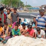 নিষেধাজ্ঞা না মেনে ইলিশ শিকার, বরিশালে ২৯ জেলে আটক