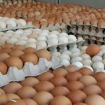 সাড়ে ৪ কোটি পিস ডিম আমদানির অনুমোদন