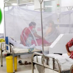 ডেঙ্গুতে আক্রান্ত ও মৃত্যু বেশি ঢাকা দক্ষিণ সিটিতে