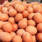 এবার ভারত থেকে এলো ২ লাখ ৩১ হাজার ডিম