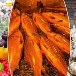 সবজির সঙ্গে চড়া মাছ-মাংসের দামও