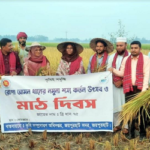 জয়পুরহাটে রোপা আমন ধান কর্তন ও মাঠ দিবস অনুষ্ঠিত