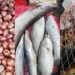 পেঁয়াজে বাড়তি ঝাঁঝ, কাঁচামরিচের দাম কমেছে ২০০ টাকা