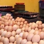 আরো ২ লাখ ৩১ হাজার ৮৪০ ডিম এলো ভারত থেকে