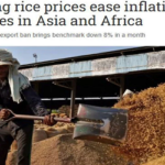 বিশ্ববাজারে কমছে চালের দাম