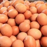 ডিমের মূল্য স্বাভাবিক করতে নতুন ১১ উপকেন্দ্র স্থাপন