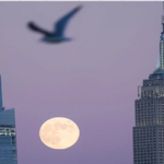 শেষ সুপারমুনের সঙ্গে দেখা মিলবে উল্কাবৃষ্টির