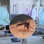 ডেঙ্গুতে ৭ জনের মৃত্যু, আক্রান্ত ছাড়াল ৯০ হাজার