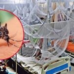 ডেঙ্গুতে আরও তিনজনের মৃত্যু