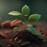 বিদ্যুৎ ও কার্বন ডাই অক্সাইড ব্যবহারে জন্ম নেবে গাছ