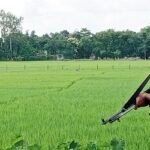 ‘মন্দির সংস্কারে বাধা দিতে ভারতে বিজিবি প্রবেশের সংবাদটি ভুয়া’