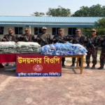 দৌলতপুর সীমান্তে বিজিবি’র অভিযানে ১৪ লক্ষ টাকার ভারতীয় কারেন্ট জাল ও পটকা উদ্ধার