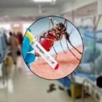 ডেঙ্গুতে ২৪ ঘণ্টায় ৩ জনের মৃত্যু, হাসপাতালে ৩১৬