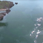 ব্রাজিলে সেতু ধস; নিহত ৩, নিখোঁজ ১৫