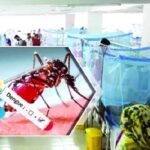 ডেঙ্গুতে ডিসেম্বরের ৯ দিনে মৃত্যু ৪৩ জনের