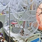 ডেঙ্গুতে আরও ৫ মৃত্যু, হাসপাতালে ভর্তি ৫৭০