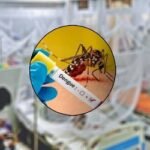 ডেঙ্গুতে আরও ৩ মৃত্যু, হাসপাতালে ভর্তি ১৮৬