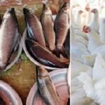 সপ্তাহ ব্যবধানে মুরগি ও মাছের দাম বেড়েছে