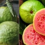 কোন রঙের পেয়ারা শরীরের জন্য বেশি উপকারী?