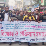 চৌগাছায় বিএনপির বিক্ষোভ মিছিল ও সমাবেশ