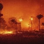 লস অ্যাঞ্জেলেসে ভয়াবহ দাবানলে প্রাণহানি বেড়ে ১০