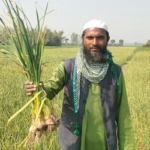 বোচাগঞ্জ ইউটিউব দেখে বিনা চাষে রসুন আবাদে সফল নুর শাহ আলম